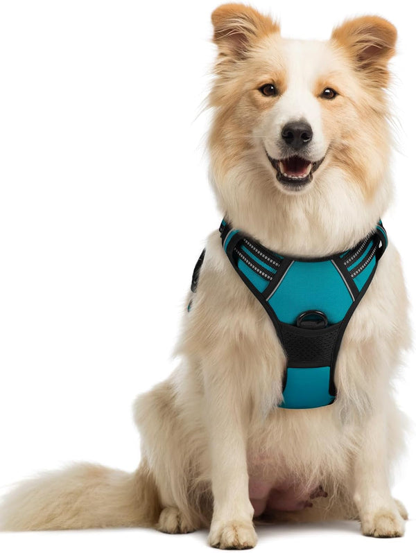 Rabbitgoo Dog Harness, No Pull for Large Dogs with 2 Leash Clips, Pet Vest | No Choke with Handle, Adjustable Soft Padded, Reflective, Easy Control for Walking, Black, Large146