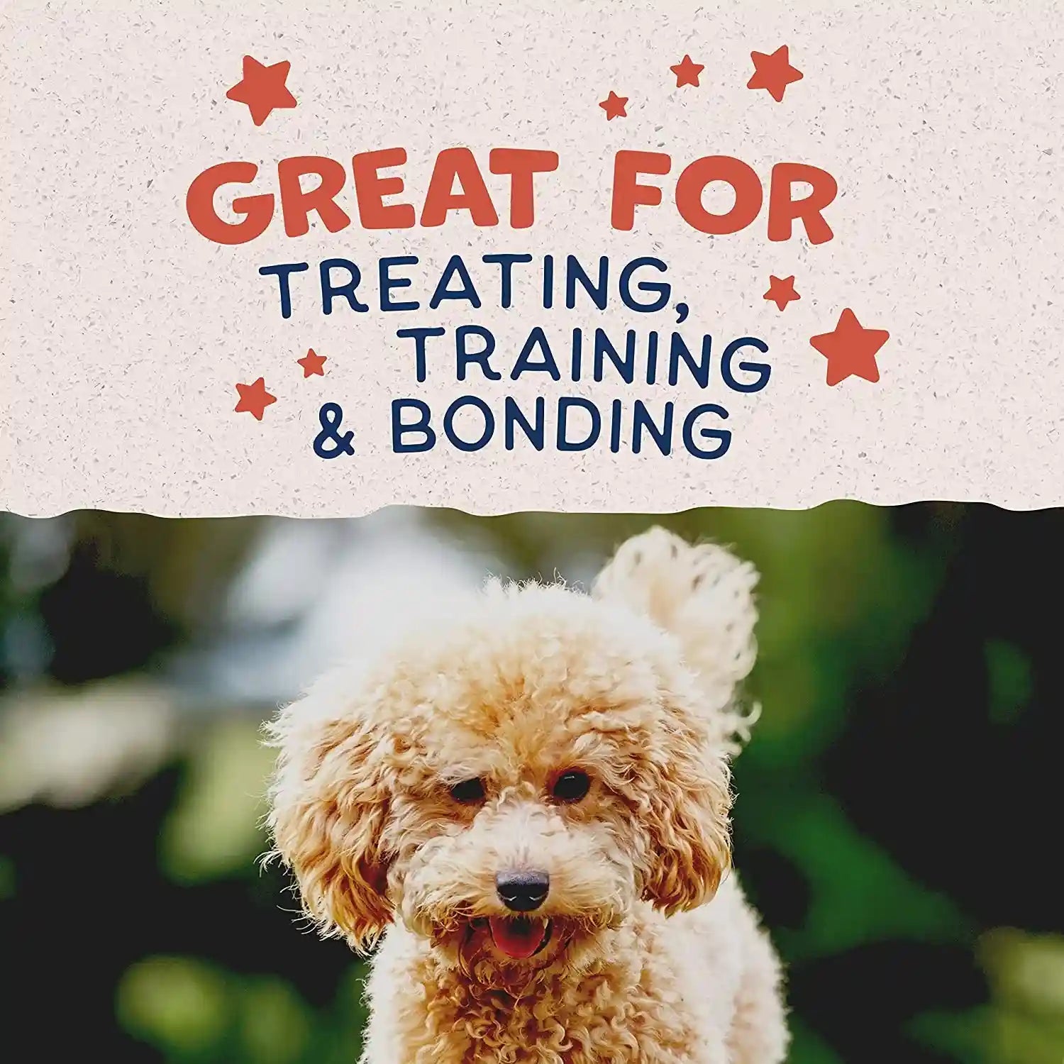 natural-balance-limited-ingredient-mini-rewards-salmon-grain-free-dog-training-treats-for-dogs-5-3-ounce-canister