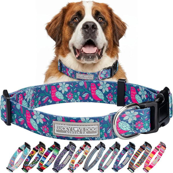 Lucky Love Dog - Easy Click Buckle Dog Collar with Leash Set Combo, Durable & Comfortable for Male & Female Dogs, Pet Collar for Medium Dogs, Secure Fit - Blackbird Combo, Medium73