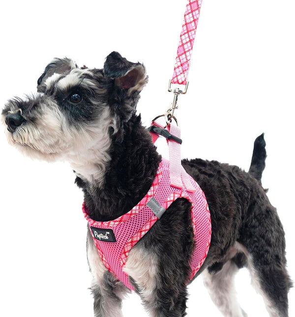 PUPTECK Dog Harness and Leash Set for Small Medium Dogs No Pull Step-In Soft Mesh Puppy Cat Vest Harnesses Reflective at Night, Green S32