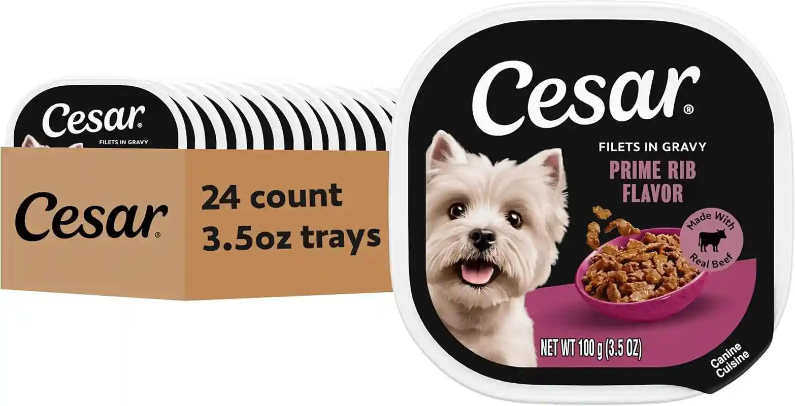 cesar-filets-in-gravy-wet-dog-food-filet-mignon-flavor-3-5-oz-24-count-real-beef-easy-to-digest-no-fillers-no-added-sugar-no-artificial-flavors-slow-cooked-tender-texture-easy-peel-trays