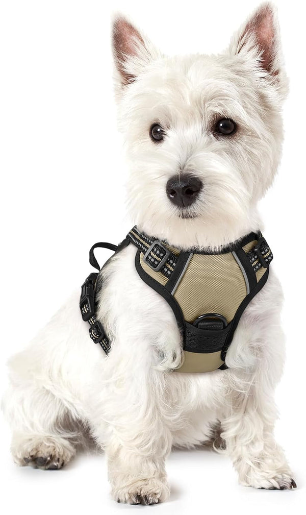 Rabbitgoo Dog Harness, No Pull for Large Dogs with 2 Leash Clips, Pet Vest | No Choke with Handle, Adjustable Soft Padded, Reflective, Easy Control for Walking, Black, Large26