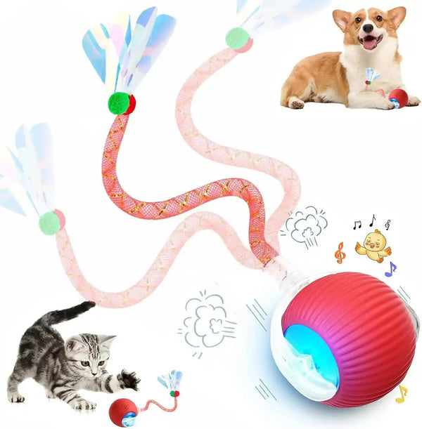 2 Packs Speed 2.0 Tail Interactive Cat Toys for Indoor Cats, Chirping & Motion Activate Cat Toy, Smart Kitten Rolling Ball Moving Ball Toys, Rechargeable Dog Cats Bal L for Enrichment Exercise17