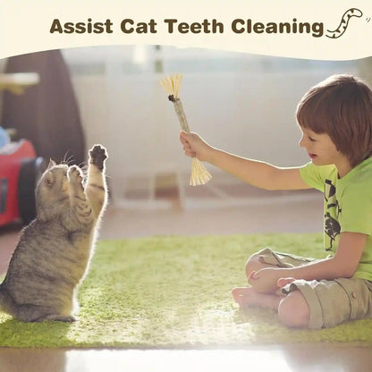 4 Pack Silvervine Sticks for Cats - Cat Chew Toy for Teeth Cleaning, Edible Matatabi Kitty Chew Sticks, Catnip Cat Toys for Indoor Cats (4 Sticks)7