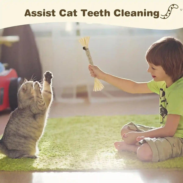 4 Pack Silvervine Sticks for Cats - Cat Chew Toy for Teeth Cleaning, Edible Matatabi Kitty Chew Sticks, Catnip Cat Toys for Indoor Cats (4 Sticks)7