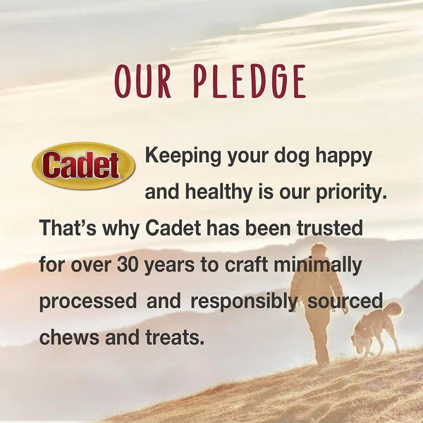 Cadet Stuffed Shin Bone, Long-Lasting Dog Chew Bones for Aggressive Chewers, High Protein Filled Bone Dental Chew for Dogs, Peanut Butter Flavor Filling, 3-4" for Small Dogs, 3 Pack11
