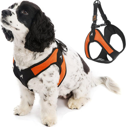 Gooby - Escape Free Easy Fit Harness, Small Dog Step-In Harness for Dogs That like to Escape Their Harness, Turquoise, Small12