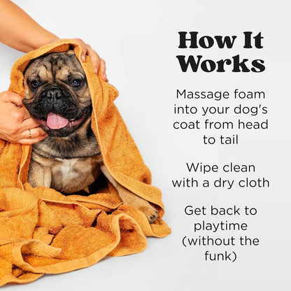 Poo-Pourri Rinse-Free Deodorizing Dry Shampoo for Dogs & Cats – Moisturizing Skin & Coat Soothing Formula - Plant Based Ingredients – Pineapple, Jasmine & Pear – No Rinse Foam Shampoo for Pet Odor5
