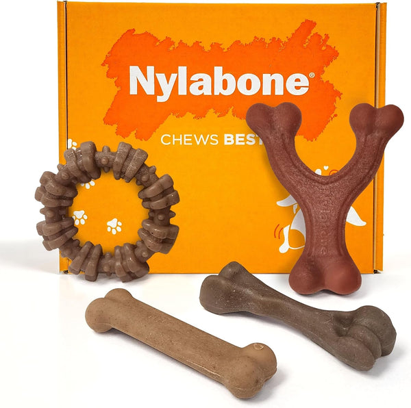 Nylabone Strong Chew Ring Dog Chew Toy Made with Real Beef & Chicken | X-Large Breeds, Durable, Long-Lasting Dog Bone, Textures Help Clean Teeth, Keeps Dogs Busy, for Dogs 50+ Lbs19