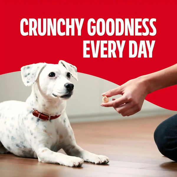 Milk-Bone Marosnacks Small Dog Treats with Real Bone Marrow, 40 Oz. Canister | Dog Treats with 12% Protein5