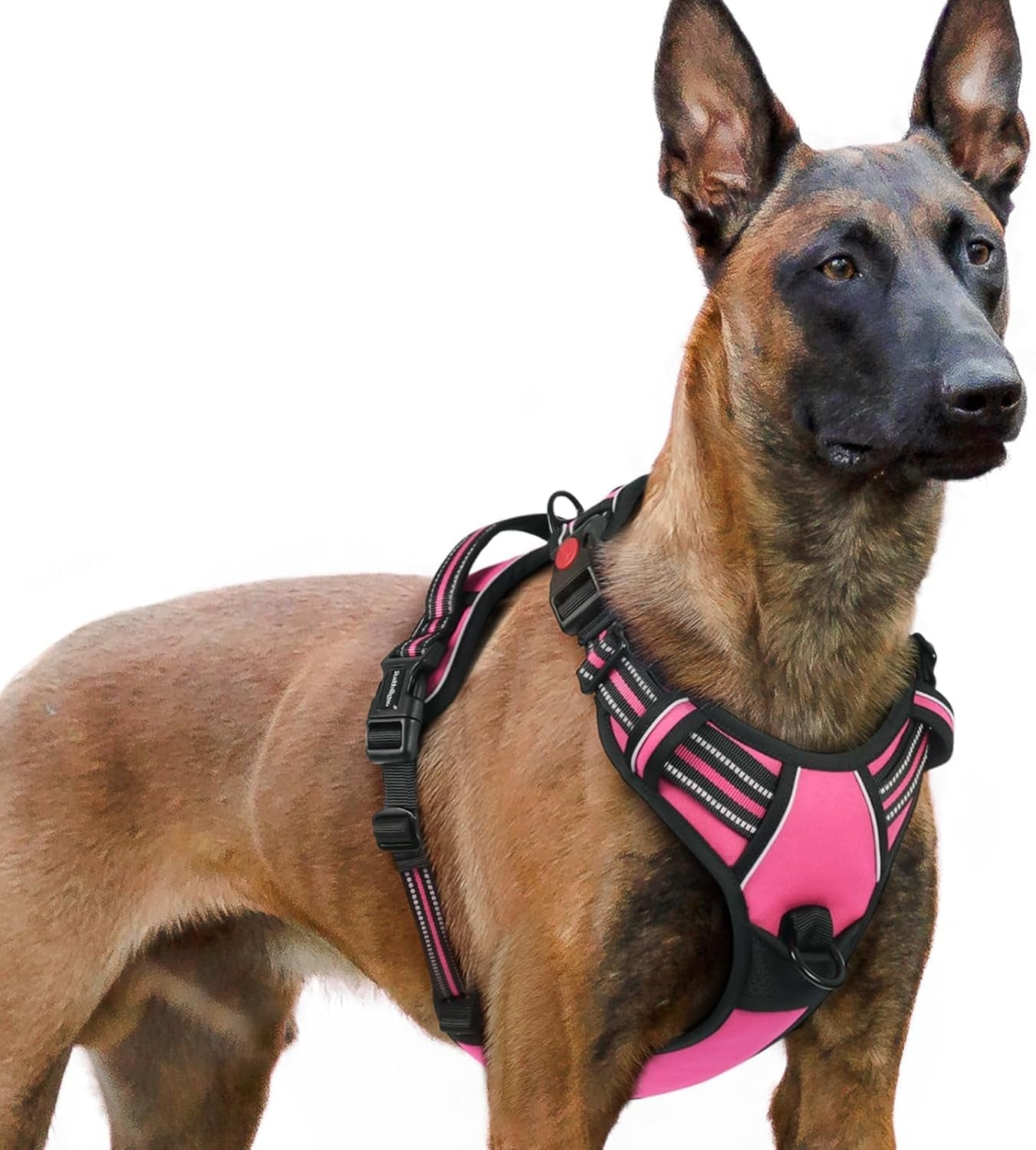 rabbitgoo-dog-harness-medium-sized-updated-easy-on-off-with-3-buckles-no-pull-no-choke-walking-with-2-clips-and-handle-adjustable-soft-reflective-blue-medium
