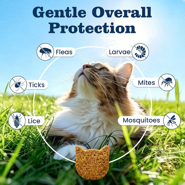 Flea Treatment for Cats-300 Treats Natural Flea and Tick Prevention for Cats Chewable, Itchy Skin &Biting Relief Immune &Gut Health Oral Flea Supplement for Kittens-All Cats Made in USA Chicken Flavor4