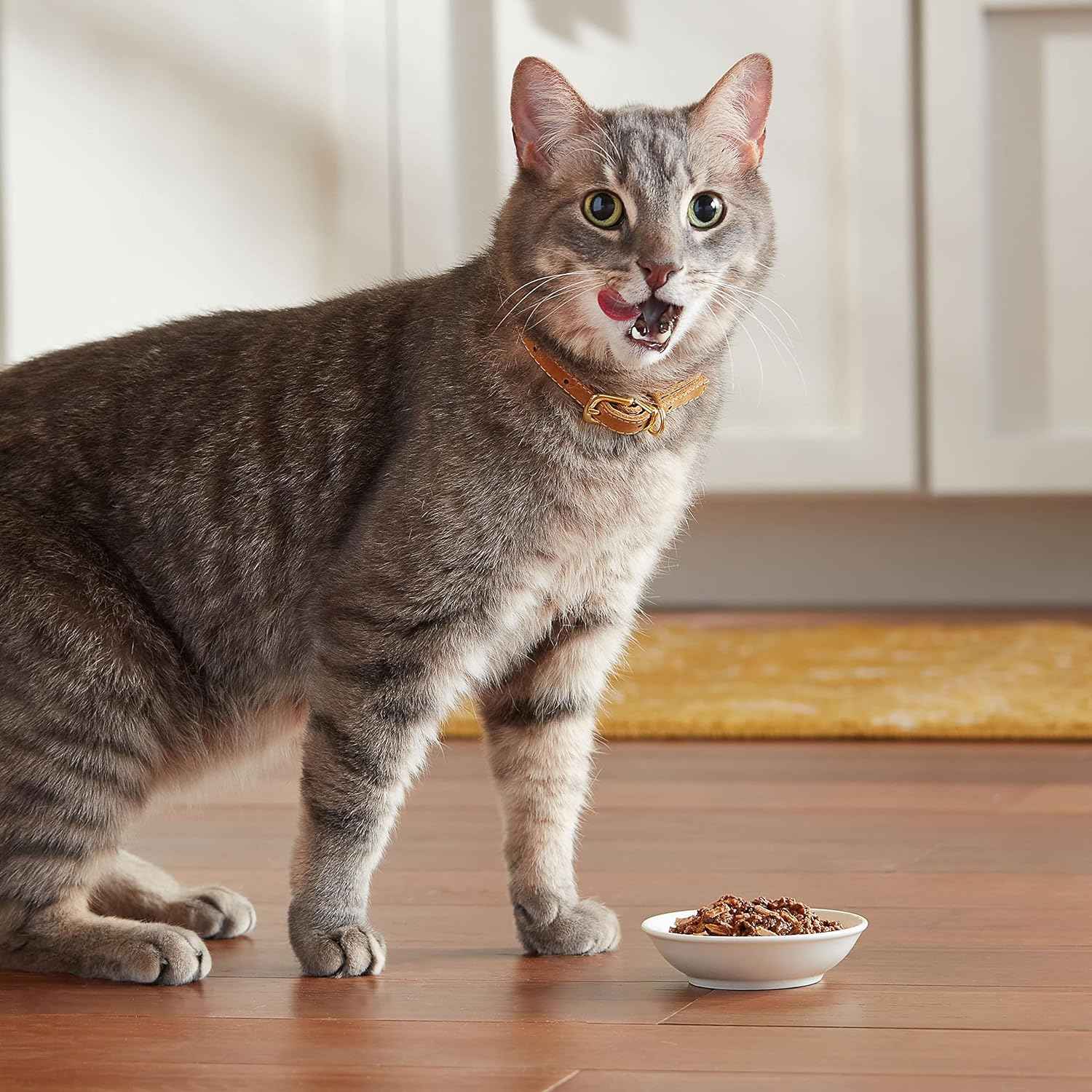 meow-mix-poultry-beef-favorites-wet-food-variety-pack-24-cups