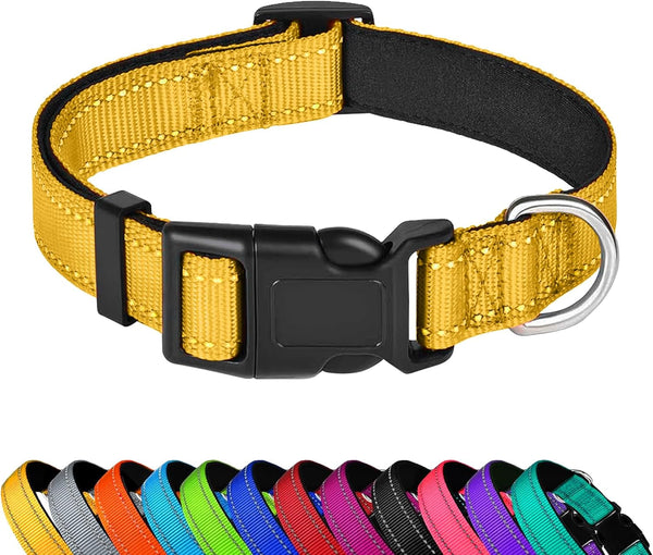 Reflective Dog Collar, Adjustable Soft Neoprene Padded,Teal,M | Breathable Nylon for Medium Dogs,Tear-Resistant Webbing,Chafe‑Free on Walks and Hikes,Metal D-Ring,Night Safety16
