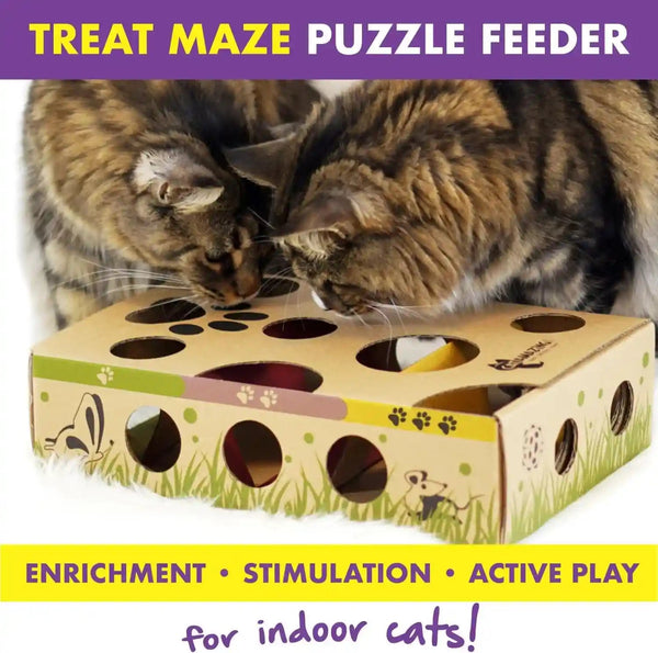 Cat Amazing Interactive Treat Maze and Puzzle CAT Toy5