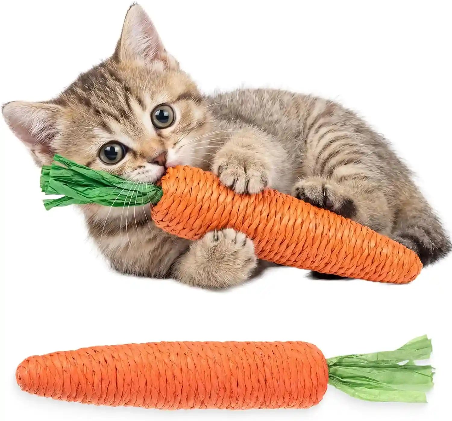 2-pcs-kitten-teething-toys-for-indoor-cats-cat-chew-toy-natural-sisal-cat-teething-toys-orange-carrot-interactive-cats-kicker-toy-interactive-kitten-kicker-for-indoor-kitty-exercise