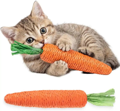2 PCS Kitten Teething Toys for Indoor Cats, Cat Chew Toy Natural Sisal Cat Teething Toys Orange Carrot Interactive Cats Kicker Toy Interactive Kitten Kicker for Indoor Kitty Exercise1