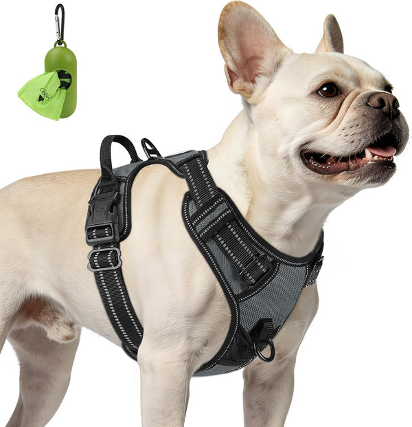 Joytale No Pull Dog Harness Medium Sized Dog, Front Clip, Black | Grab Handle for Instant Control, Padded & Adjustable Vest, Sturdy Metal D-Rings, for Safe Training & Daily Walking28