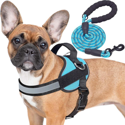 Haapaw Essential Dog Harness, No Pull Pet Vest with 3 Leash Clips, No Choke, Reflective, Adjustable and Padded, for Easy Walking and Training for Medium Dogs(M, Blue)1