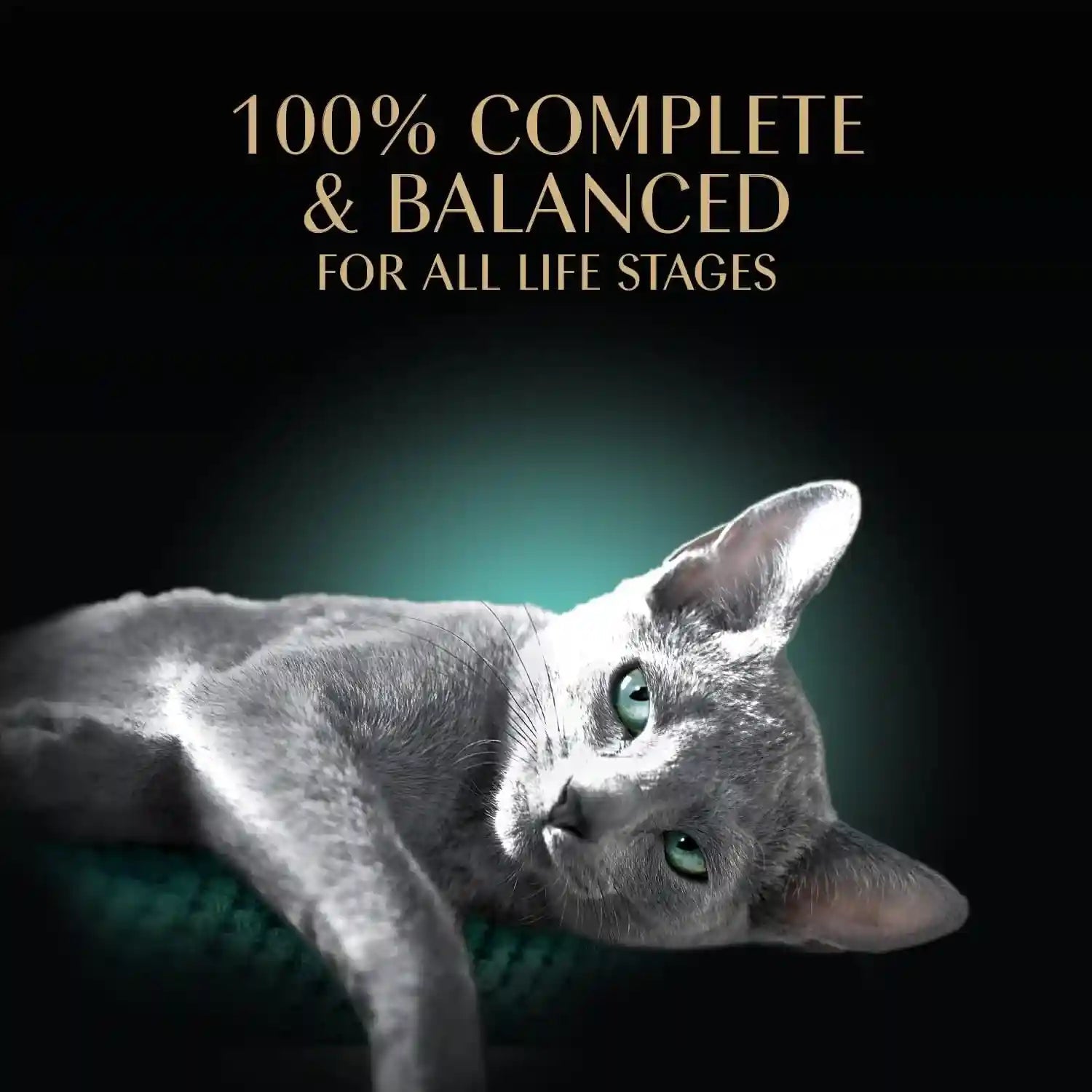 sheba-perfect-portions-cuts-wet-cat-food-multipack-2-6-oz-24-ct-grain-free-chicken-salmon-turkey-flavors-protein-rich-no-corn-or-soy-essential-vitamins-minerals-twin-pack-trays