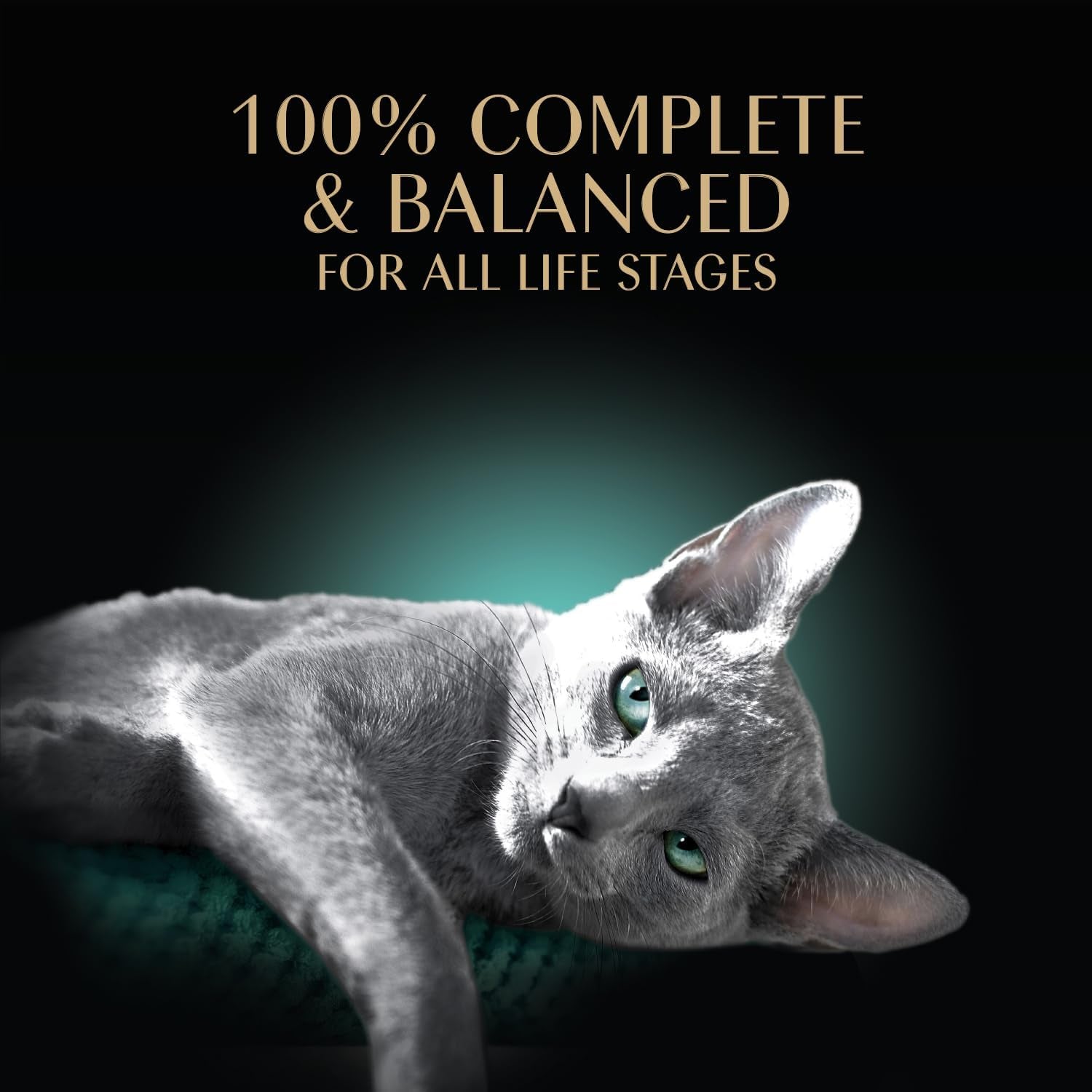 sheba-perfect-portions-bistro-wet-cat-food-chicken-2-6-oz-24-count-chicken-in-alfredo-sauce-entree-added-moisture-for-hydration-grain-free-no-corn-or-soy-made-in-usa-complete-balanced