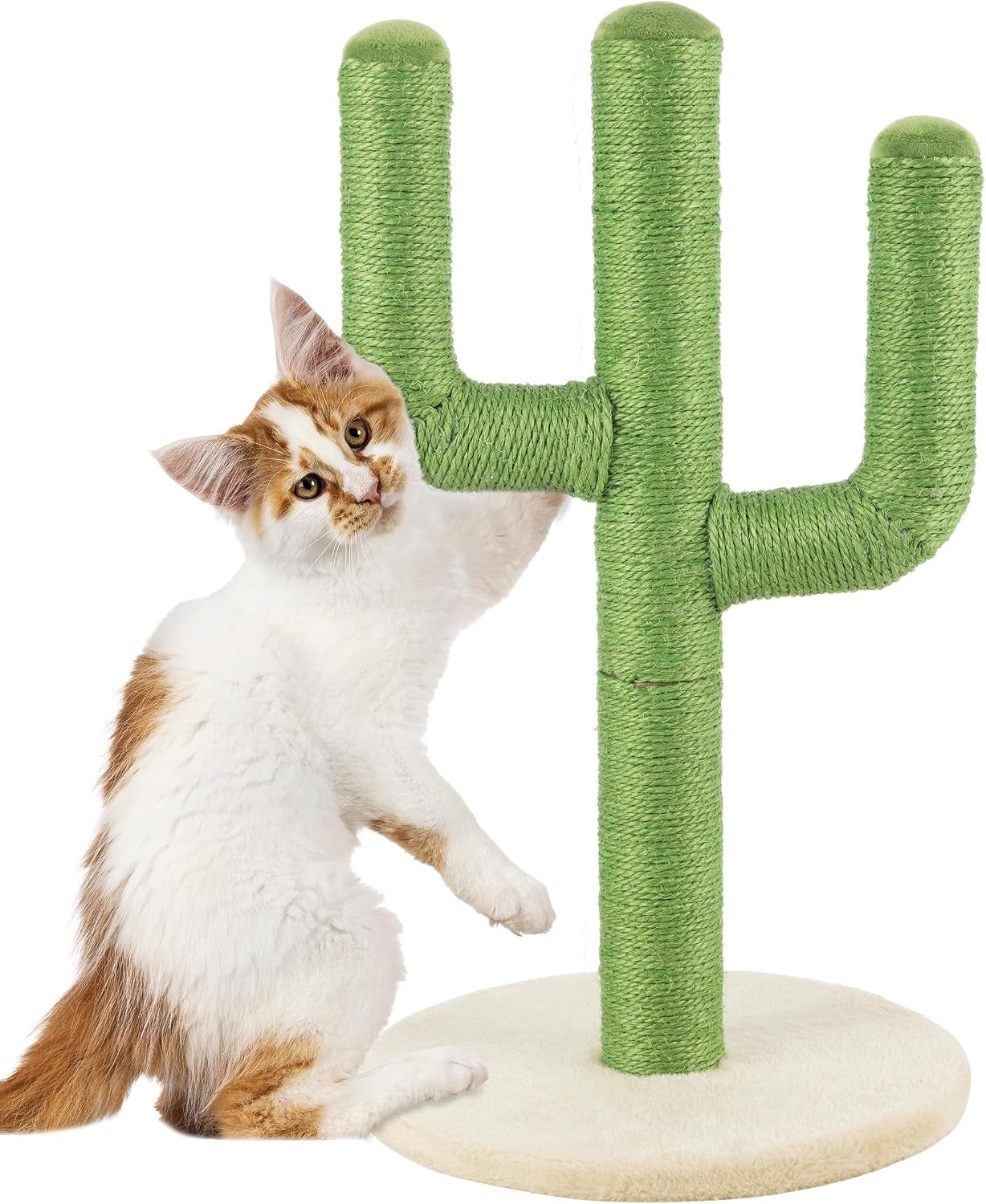 24-tall-cat-scratching-post-vertical-cactus-scratch-post-for-indoor-cats-360-degree-jute-rope-covered-kitten-scratcher-with-3-branches-and-sturdy-base-by-petmaker-green
