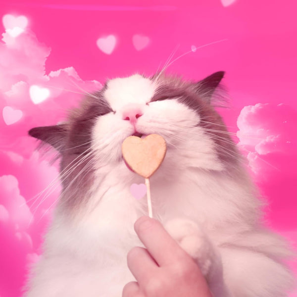 Bonkers Purrpops Freeze-Dried Chicken Liver Flavored Lollipop Cat Treats, 4 Pieces (Pack of 13)6