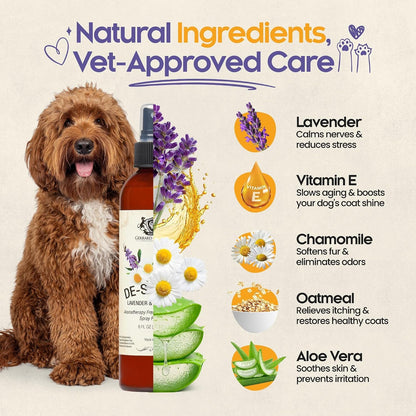 Dog Perfume Spray Long Lasting Chamomile & Lavender 8 Fl Oz, Dog Cologne Spray Long Lasting for Groomers, Calming Deodorizer Perfume for Dogs, Pet Puppy Deodorizing Fragrance by Gerrard Larriett3