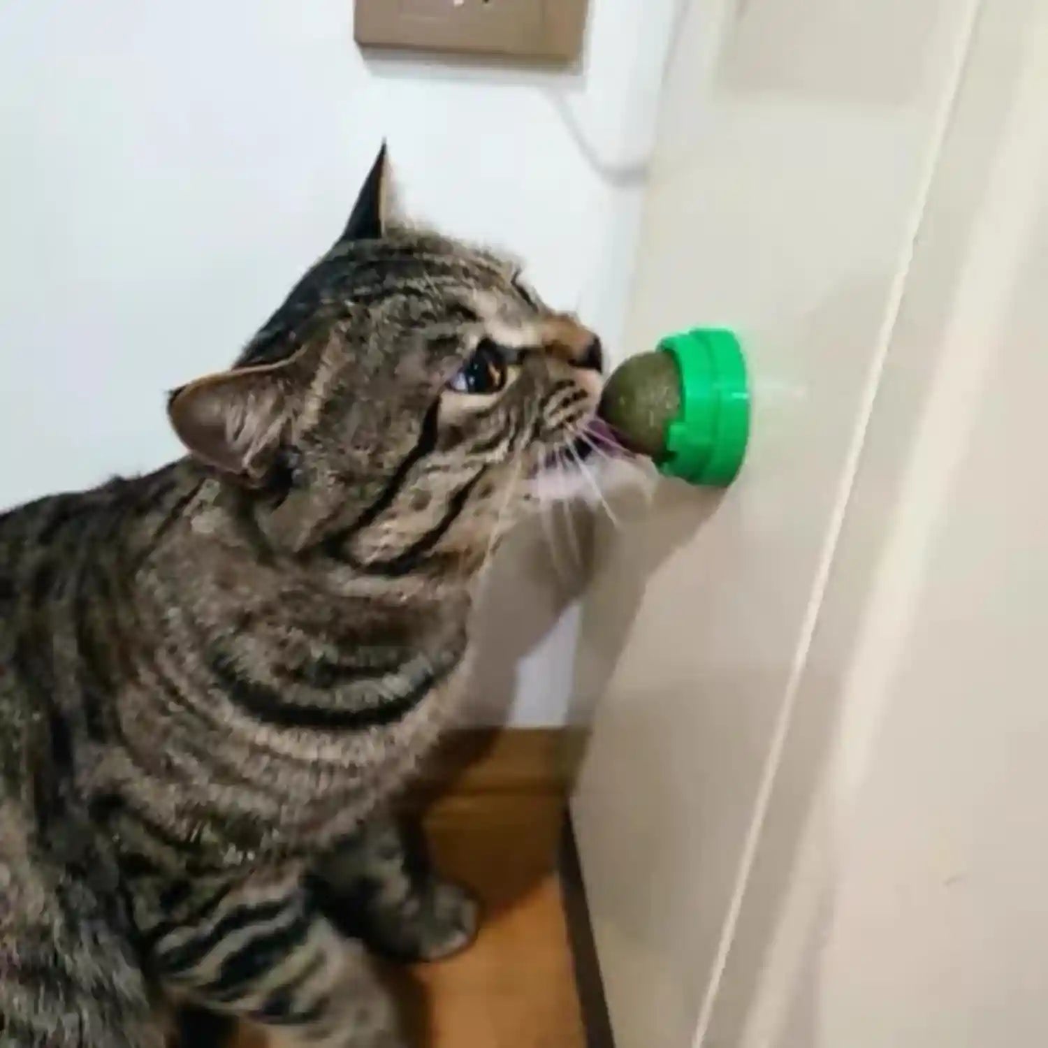 4pcs-catnip-balls-for-cats-wall-catnip-toys-for-cat-lick-kitten-chew-toys-teeth-cleaning-dental-edible-cat-toys
