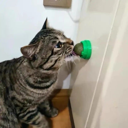 4PCS Catnip Balls for Cats Wall Catnip Toys for Cat Lick Kitten Chew Toys Teeth Cleaning Dental Edible Cat Toys5