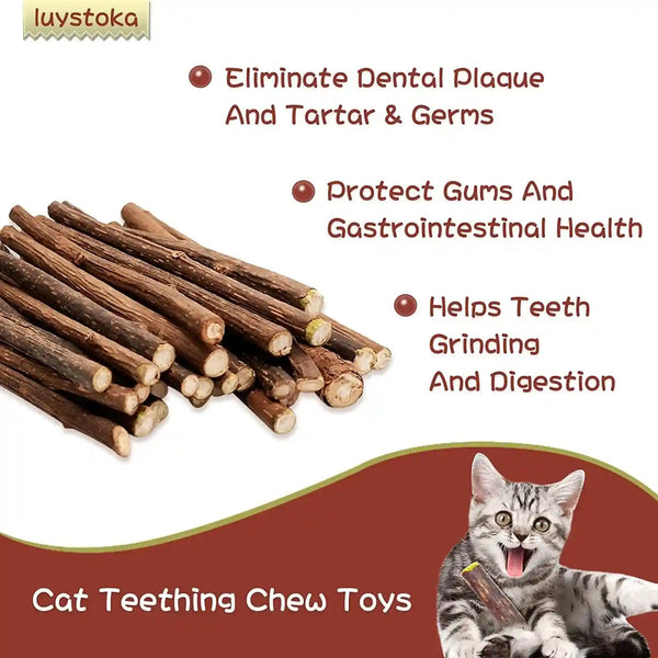 Silvervine Sticks for Cats, 30PCS Kitten Toys Catnip Toys Matatabi Silvervine Sticks Kitty Chew Toys Wooden Stick Kitten Teething Toys Molar Suitable for Cats of All Ages4