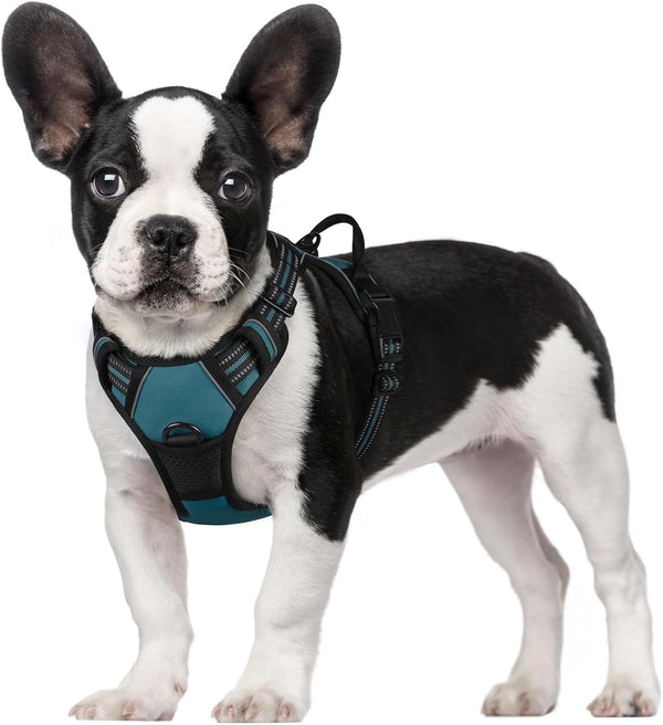 Rabbitgoo Dog Harness, No Pull for Large Dogs with 2 Leash Clips, Pet Vest | No Choke with Handle, Adjustable Soft Padded, Reflective, Easy Control for Walking, Black, Large119
