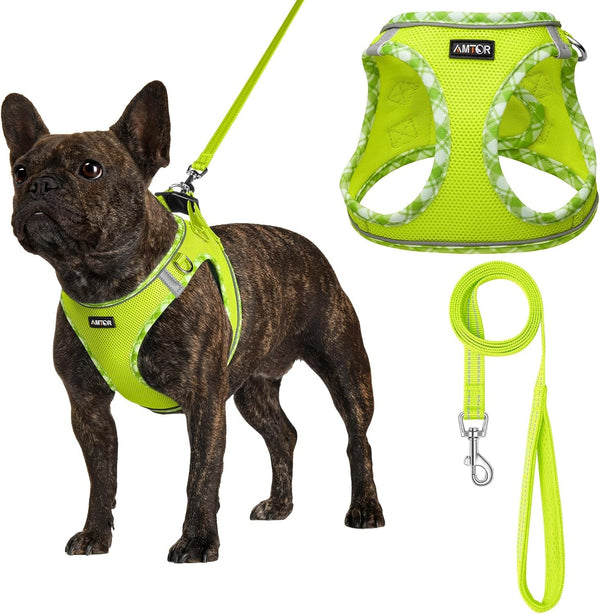 AMTOR Small Dog Harness with Leash Set, No Escape Easy Walk Puppy Harnesses for Training Walking, Step-In Reflective Soft Dogs Vest for XS S Medium Extra-Small Large Sized Dog(Green,S)10
