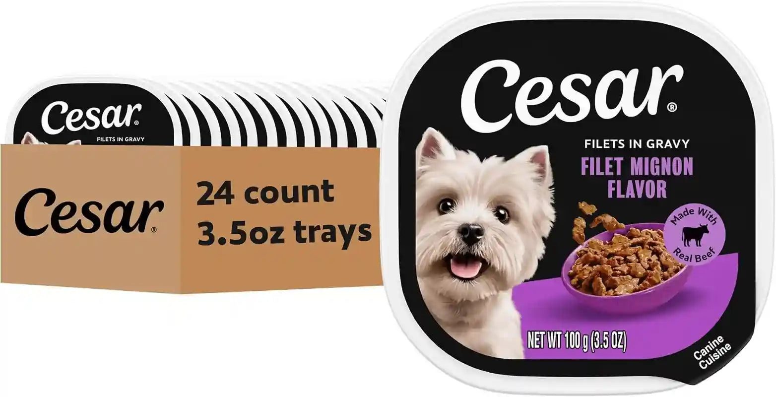 cesar-filets-in-gravy-wet-dog-food-filet-mignon-flavor-3-5-oz-24-count-real-beef-easy-to-digest-no-fillers-no-added-sugar-no-artificial-flavors-slow-cooked-tender-texture-easy-peel-trays