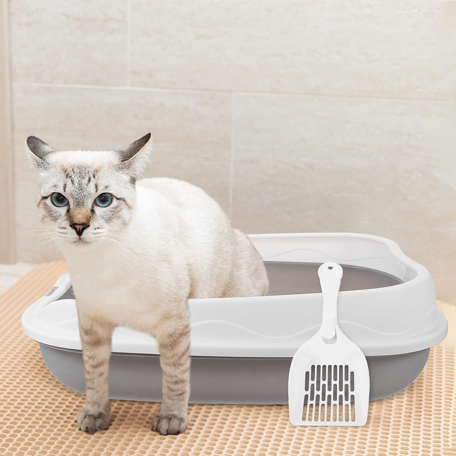 artibetter-semi-enclosed-cat-litter-box-with-scoop-small-gray-kitten-litter-pan-splash-resistant-open-design-pet-toilet-for-cats-and-kittens-suitable-for-indoor-housebreaking