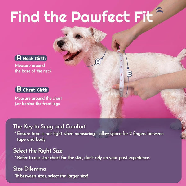 Eagloo Small Dog Harness and Leash Set, Step in Small Sized Puppy Pet Vest | Light, Soft, Breathable Air Mesh, Easy on and off with Hook & Loop, Reflective for Safe Walking, Pink, S2