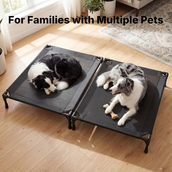 Veehoo Cooling Elevated Dog Bed, Raised Dog Bed for Two Dogs, Indoor Outdoor Pet Cot with Breathable Teslin Mesh & Anti-Slip Rubber Feet, Durable Double Dog Bed for Multi-Pet Homes, 35" X 25", Black2