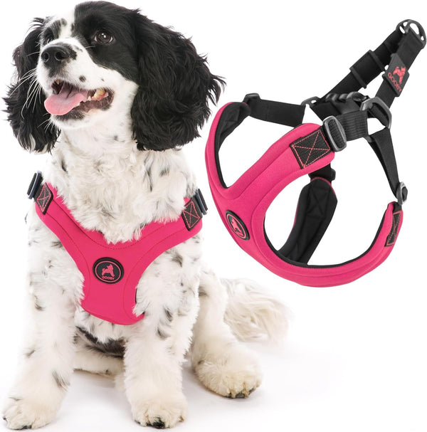 Gooby Escape Free Sport Harness - Red, Medium - No Choke Step-In Patented Neoprene Small Dog Harness with Four-Point Adjustment - Perfect on the Go Dog Harness for Medium Dogs No Pull and Small Dogs11