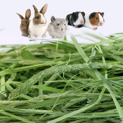 Timothy Hay, 6.6LBS Small Pet Feed | Hand Selected Natural Fresh Timothy Hay, for Rabbits, Guinea Pigs, Chinchillas, 6 Packs of 1.1Lbs Each5