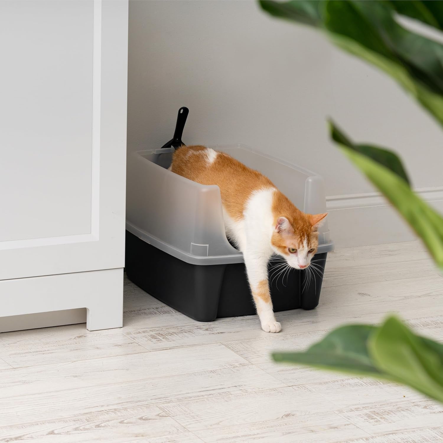 iris-usa-large-high-sided-cat-litter-box-scatter-shield-high-kickers-kick-proof-sides-extra-deep-pan-raised-edge-protection-keeps-floor-clean-easy-daily-scoop