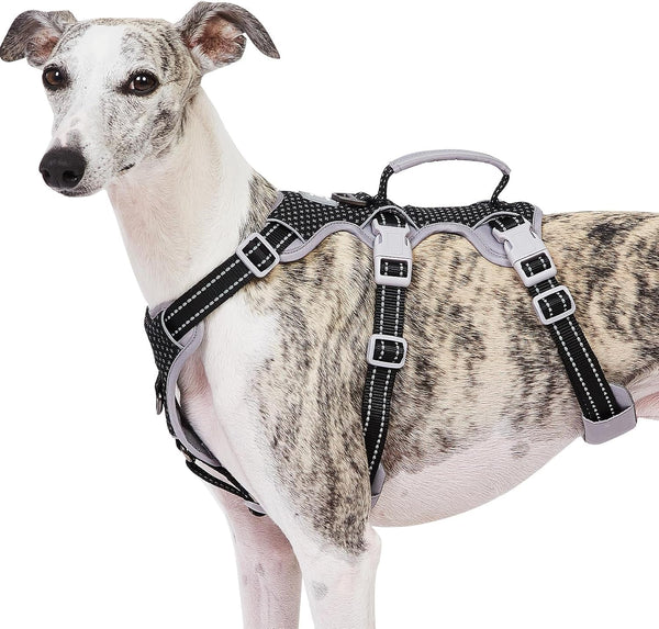 Huntboo Escape Proof Harness, No Slip Dog Harness Escape Proof, Fully Reflective Harness with Handle, Breathable, Durable, Adjustable Vest for Medium Dogs Walking and Training Gear (Black, M)1