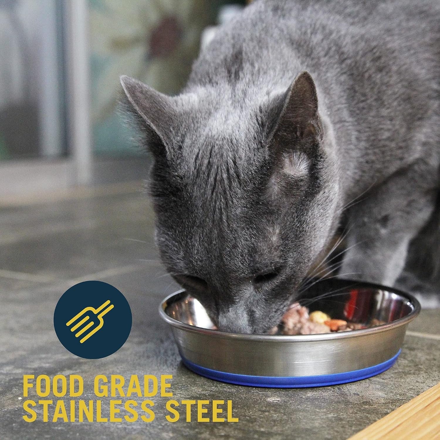 our-pets-durapet-stainless-steel-non-slip-cat-food-bowl-or-water-bowl-holds-up-to-1-cup-of-wet-or-dry-food-easy-to-clean-holds-wet-or-dry-meals-easy-to-rinse-clean-grippy-base-keeps-it-in-place-during-mealtime-durable-everyday-feeding-dish