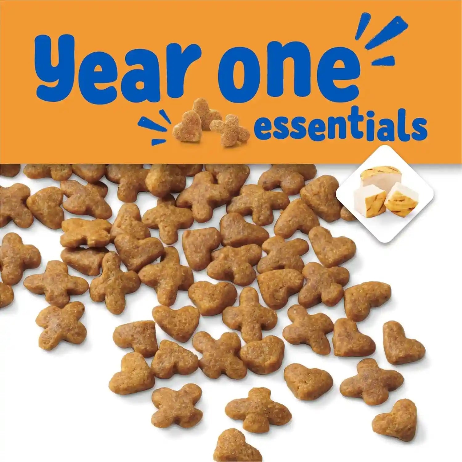 purina-kitten-chow-year-one-essentials-with-real-chicken-high-protein-complete-and-balanced-dry-kitten-food-with-essential-nutrients-14-lb-bag
