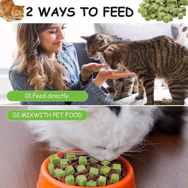 60G Cat Grass Treats for Indoor Cats, Freezed Dried Cat Grass Teething Stick Snacks for Cats, Edible Feline Chew Toys for Hairball Control and Oral Health6