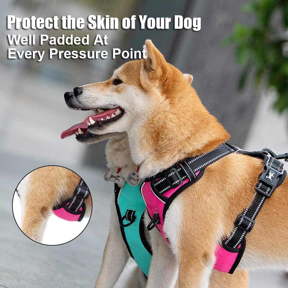 poypet-no-pull-dog-harness-reflective-comfortable-vest-harness-with-front-back-2-leash-attachments-and-easy-control-handle-adjustable-soft-padded-pet-vest-for-small-medium-large-dogs-mint-blue-m