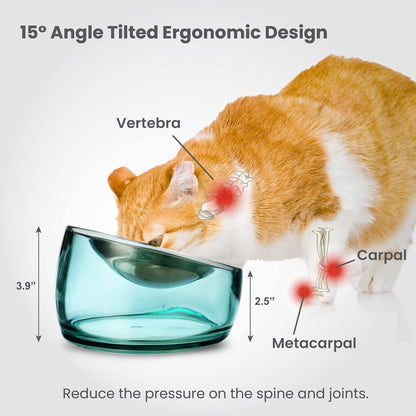 Felli Oblik Elevated Cat Bowl Removable Stainless Steel Wide Dish for Dry Wet Food Feeding & Dishwasher Clean, Slanted Whisker Fatigue Friendly Metal Plate (Classic, 0.5 Cups Shallow Dish)5