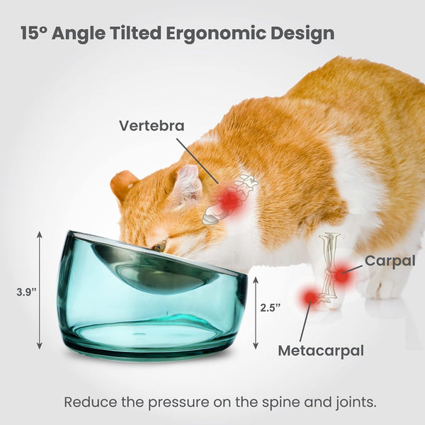 Felli Oblik Elevated Cat Bowl Removable Stainless Steel Wide Dish for Dry Wet Food Feeding & Dishwasher Clean, Slanted Whisker Fatigue Friendly Metal Plate (Classic, 0.5 Cups Shallow Dish)5