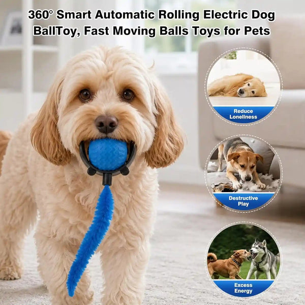 Automatic Cat Toy Ball – Interactive Rolling Ball for Indoor Cats, 3 Modes Motion Activated Self-Play Cat Toy with Tail, Eco-Friendly Cat Exercise Ball to Keep Your Cat Busy2
