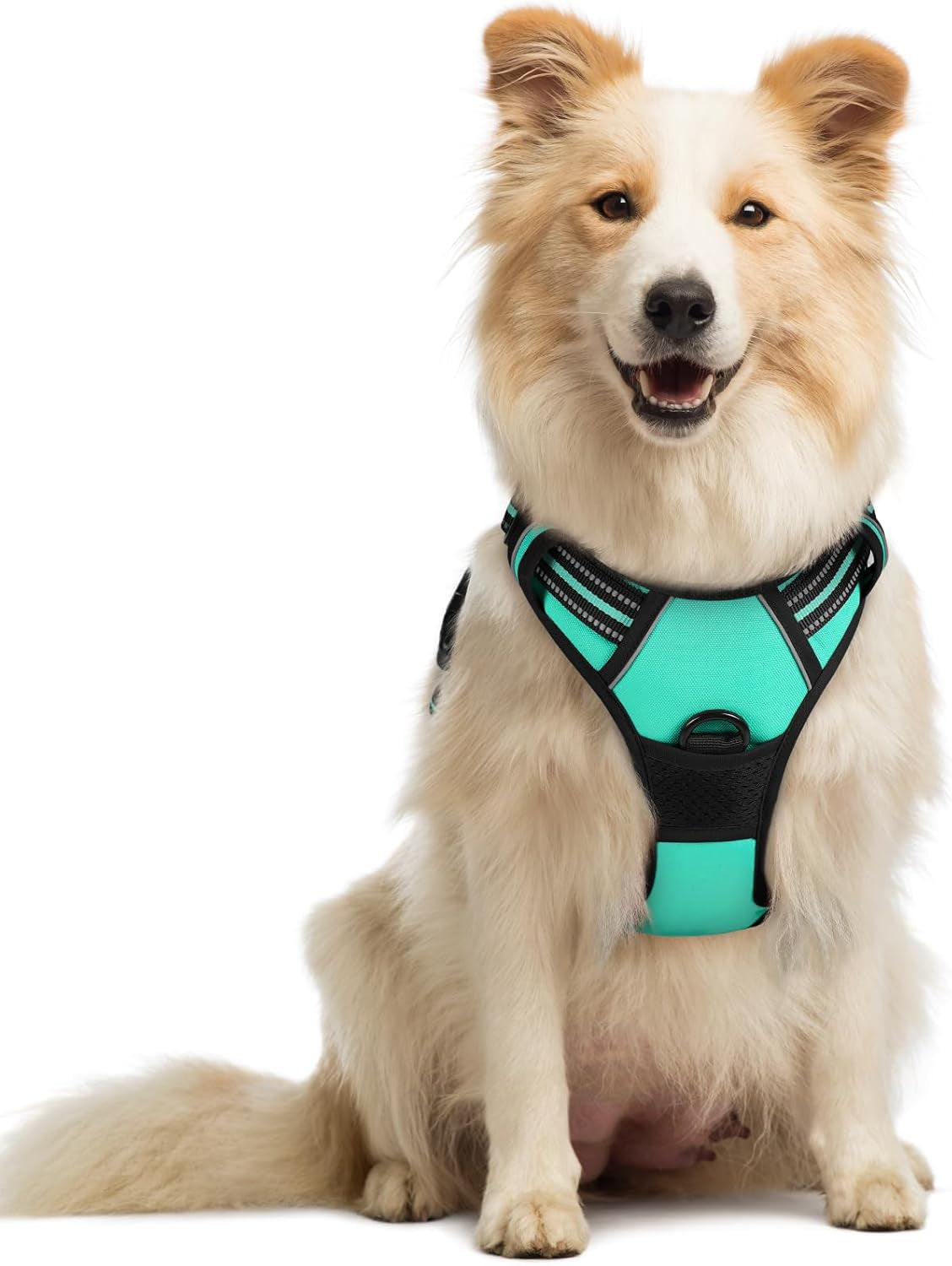 rabbitgoo-dog-harness-no-pull-for-large-dogs-with-2-leash-clips-pet-vest-no-choke-with-handle-adjustable-soft-padded-reflective-easy-control-for-walking-black-large