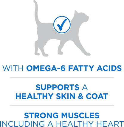 Purina ONE plus High Protein Cat Food Dry Salmon and Ocean Whitefish Cat Skin and Coat Health Formula - 7 Lb. Bag3
